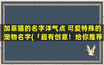 加菲猫的名字洋气点 可爱特殊的宠物名字(「超有创意！给你推荐66个和加菲猫相似，可爱特殊的宠物名字！」)